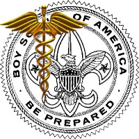 The BSA medical form and your troop The BSA medical form and your troop