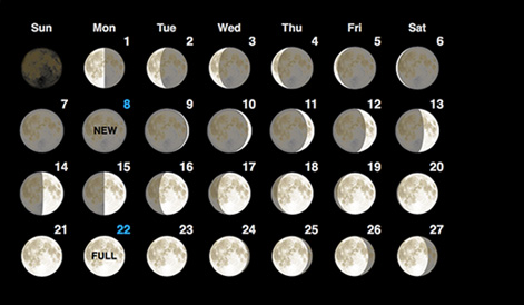 Moon Phases Calendar February, 2017