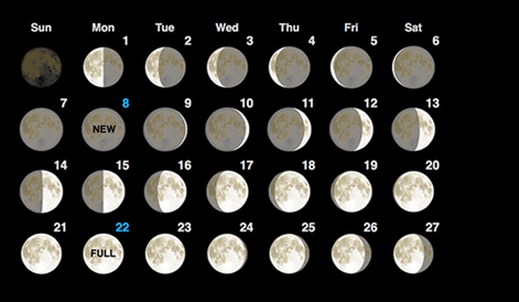Moon Phases Calendar February, 2017 Moon Phases Calendar February, 2017