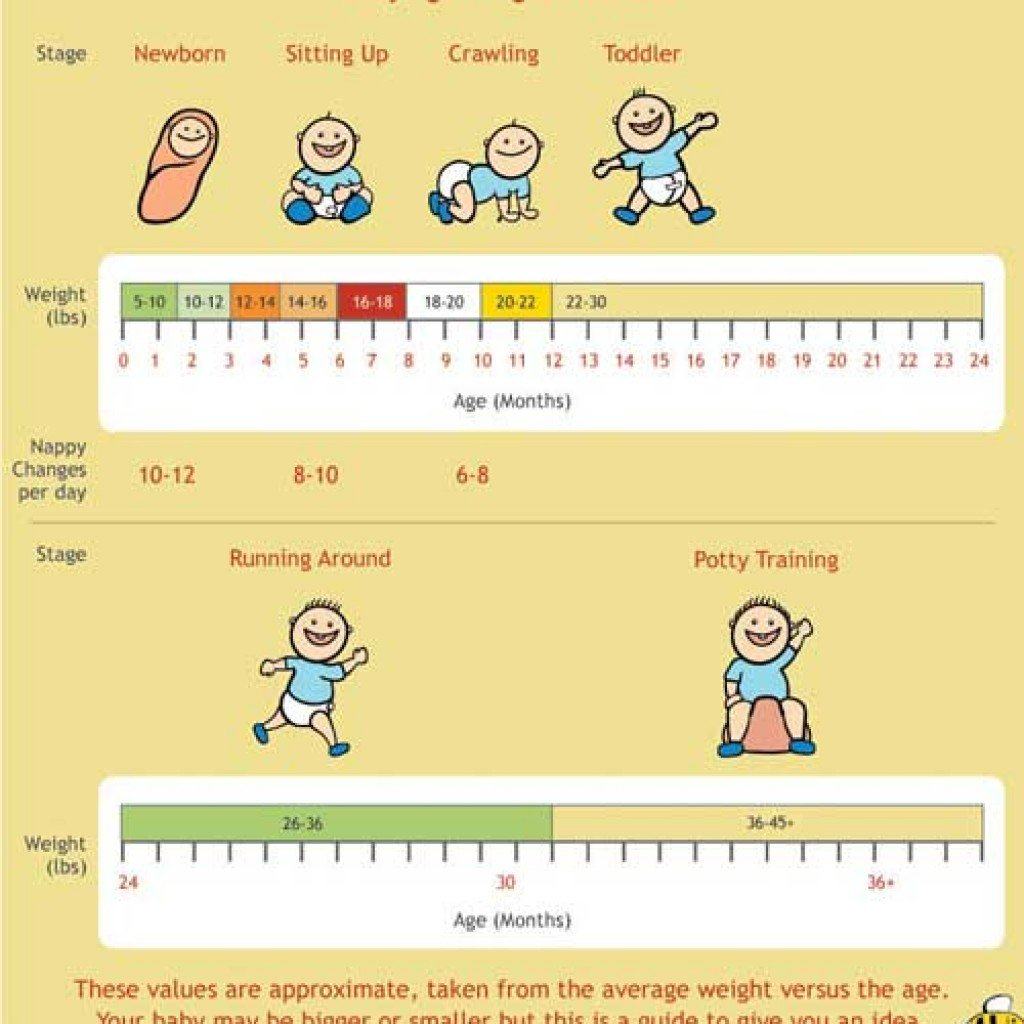 Free Baby Growth Chart Template